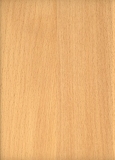 Designhocker in Buche geölt