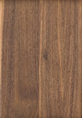 Designhocker in Nussbaum geölt
