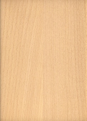 Designhocker in Buche